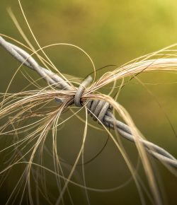 Close Calls: The Reminders We Shouldn’t Need (But Often Do)