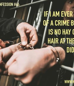 HN Equestrian Confessions, Vol. V