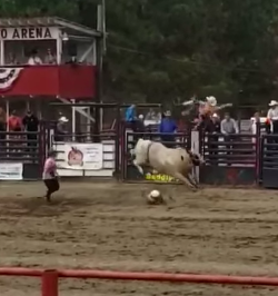 Thursday Video: Stick the Landing