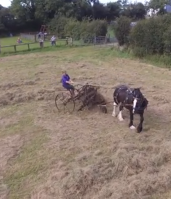 World Equestrian Brand Drone Cam: Working Horse