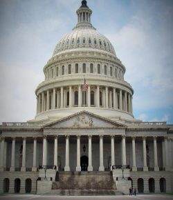 Standing Ovation by Ovation Riding: Humane Society Legislative Fund