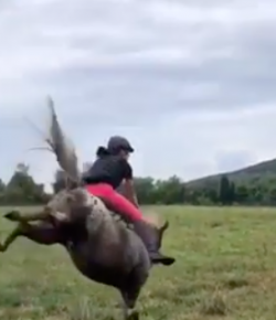 Kentucky Performance Products: ‘Oh Crap’ Monday