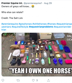 8 #EquestrianProblems According to Twitter