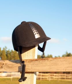 Weekend Wellness: Mind Your Melon