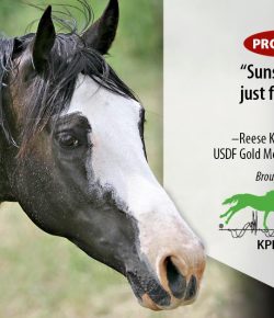 Kentucky Performance Products: Sunscreen Isn’t Just for People