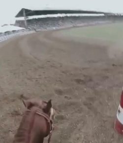 World Equestrian Brands Helmet Cam: Barrels