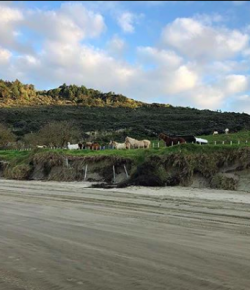 #goriding Grams of the Week