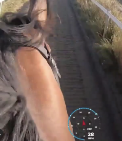 World Equestrian Brands Helmet Cam: Racehorse Style