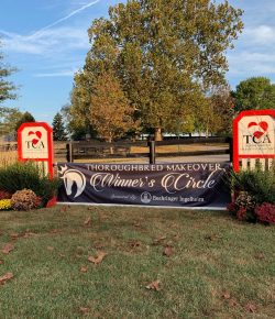 My Hopes for the Thoroughbred Makeover Class of 2019