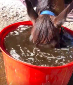 Thursday Video: Getting to the Bottom of It