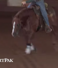 SmartPak Monday Morning Feed: Ask the Vet, October Edition