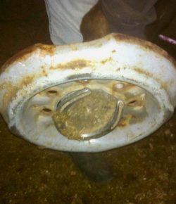 Kentucky Performance Products: ‘Oh Crap’ Monday