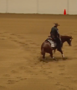 Performance of the Week: Franco Bertolani