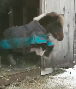 Thursday Video: Overthinking