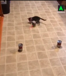 Thursday Video: When Barrel Racing Is Life