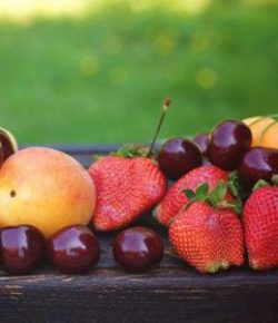 Kentucky Performance Products: Low-Sugar Treats for Your Horse