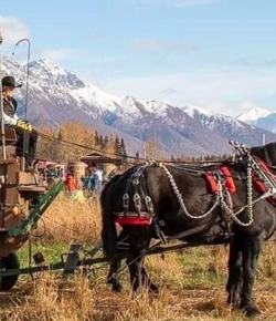 #goriding Grams of the Week