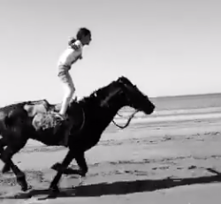 #TGIF, by Flexible Fit Equestrian