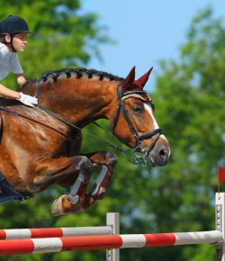 Kentucky Performance Products: The Art of Failure