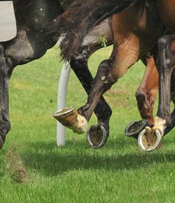 The Last Ride of Galloping Gordie