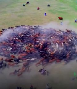 World Equestrian Brands Drone Cam: Running in Circles