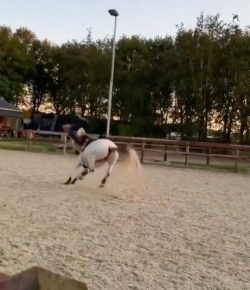 Kentucky Performance Products: ‘Oh Crap’ Monday