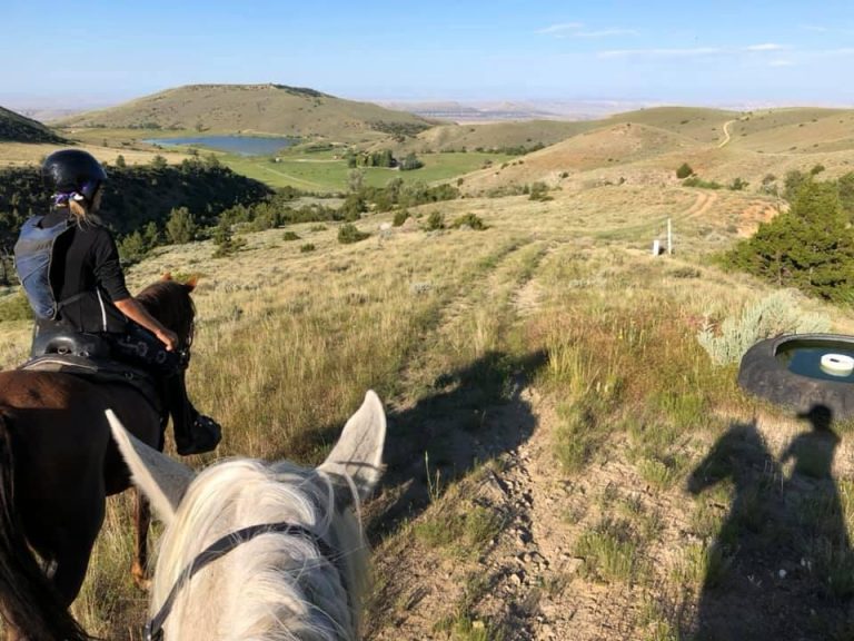 Photo Challenge 30 Reader Adventures Between The Ears HORSE NATION