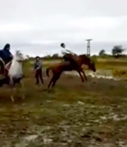 Kentucky Performance Products: ‘Oh Crap’ Monday