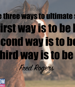 World Kindness Day: 11 Random Acts of Kindness You Can Commit in the Horse World