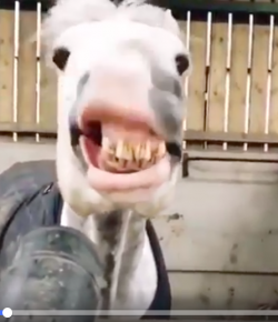 Thursday Video: Lip Service