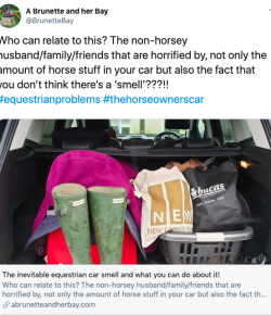 9 #Equestrian Problems According to Twitter (and Instagram)