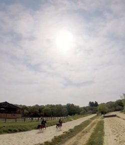 World Equestrian Brands Drone Cam: Quite the Facility