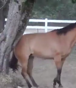 Thursday Video: If You Want Something, Go Get It