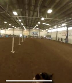 World Equestrian Brands Helmet Cam: Pole Bending