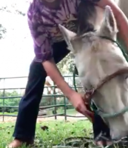 Kentucky Performance Products: ‘Oh Crap’ Monday