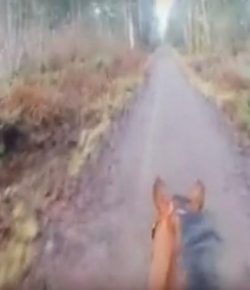 World Equestrian Brands Helmet Cam: Trail Canter