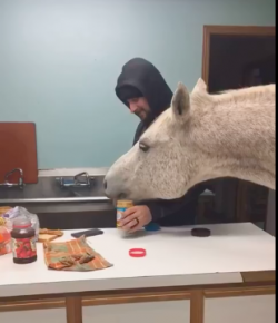 #TGIF, by Flexible Fit Equestrian: Leftovers