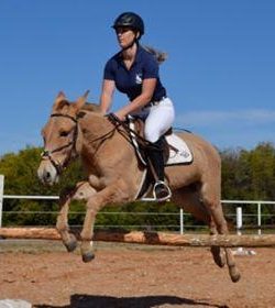 Who Says Mules Can’t Jump?