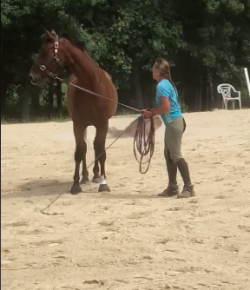 Kentucky Performance Products: ‘Oh Crap’ Monday