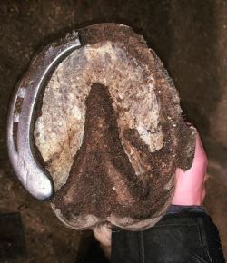 Kentucky Performance Products: ‘Oh Crap’ Monday