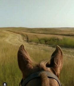 World Equestrian Brands Helmet Cam: Riding the Prairies