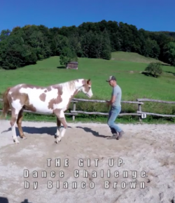 Thursday Video: More Git Up