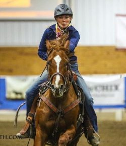 Standing Ovation by Ovation Riding: The Western Thoroughbred