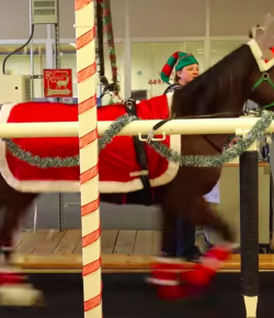 Weekend Wellness: The Most Famous Reindeer