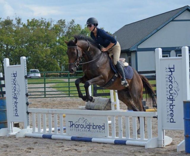 A Decade In, How Are We Doing With Thoroughbred Aftercare? HORSE NATION