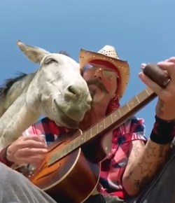 Thursday Video: Jam Session