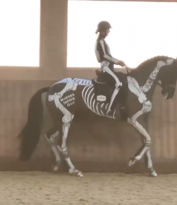 Thursday Video: Movement From the Inside out