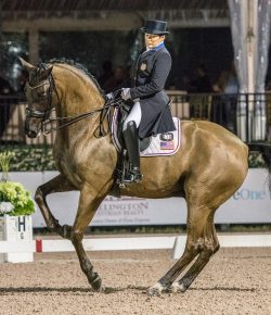 Watch the Friday Night Stars Freestyle Live Stream