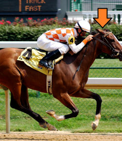 2021 Horse Nation Gallop Poll: Tell Us About Yourself!