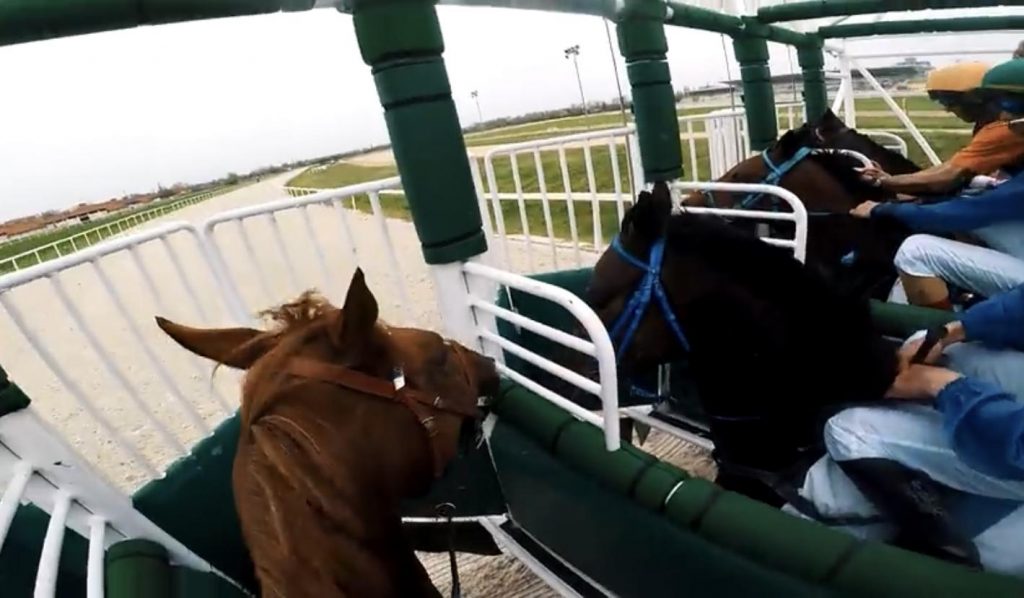 World Equestrian Brands Helmet Cam Jockey Cam HORSE NATION